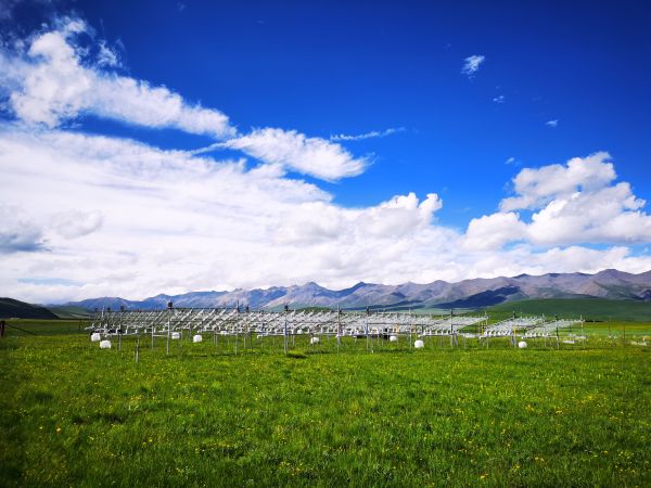 贺金生教授团队解析青藏高原植物不同功能群对季节非对称性增温的特异性响应