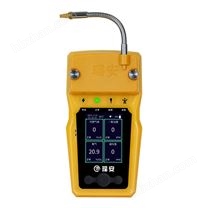 手持式工業(yè)氣體報(bào)警器 檢測(cè)器