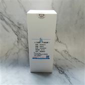 人工尿液（不含肌酐）