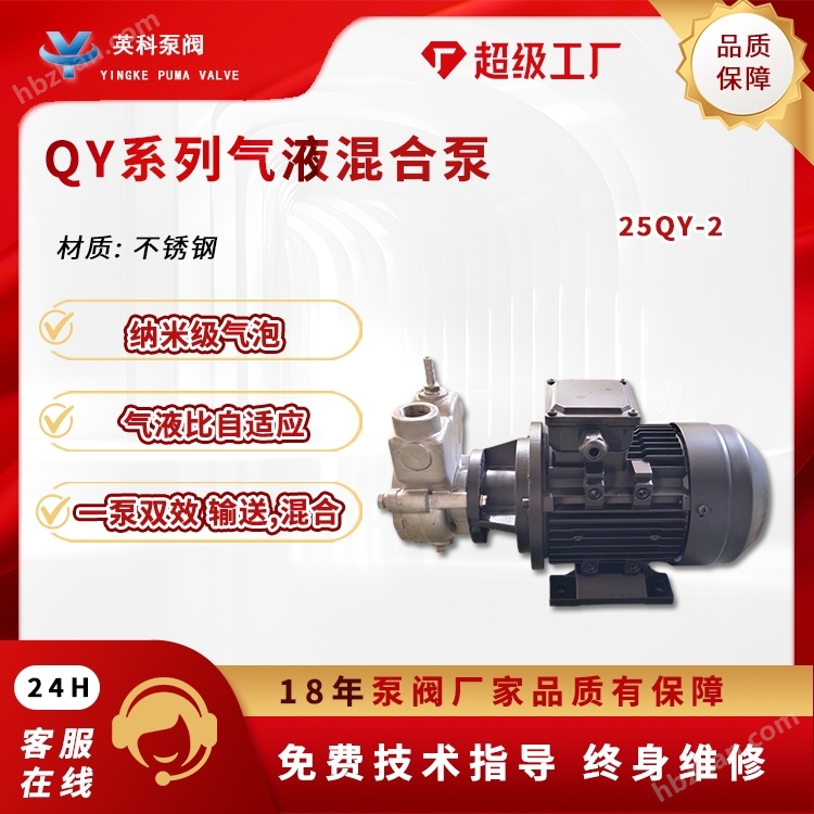 Gas liquid mixed flow pump