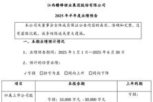 贛鋒鋰業(yè)：2025上半年預虧55,000萬元 – 30,000萬元