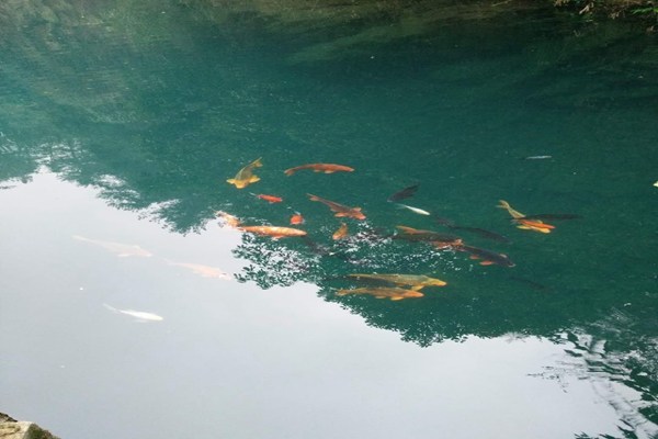 “70后”劉輝文，任省水發(fā)集團(tuán)董事長！