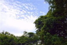 IIGF觀點(diǎn)|龐心睿：全球氣候治理轉(zhuǎn)型下的中國(guó)氣候資金貢獻(xiàn)的現(xiàn)狀與展望