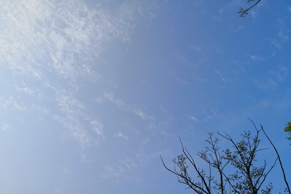 新疆公告預(yù)警區(qū)域重污染天氣！