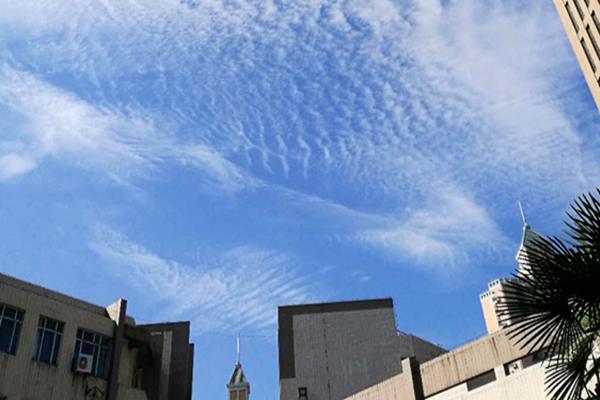 棕櫚股份實(shí)控人變?yōu)楹幽鲜Y委