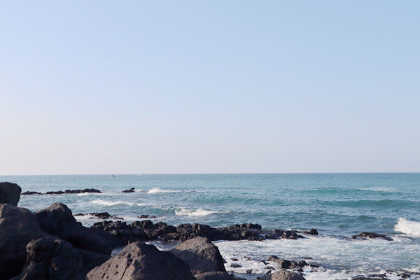 每個(gè)項(xiàng)目獎(jiǎng)補(bǔ)不超過(guò)3億元！2026年度海洋生態(tài)修復(fù)項(xiàng)目申報(bào)工作啟動(dòng)