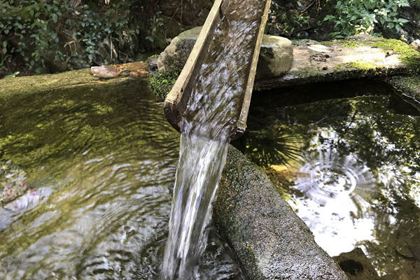 生態(tài)環(huán)境部召開專題研討會(huì) 研究持續(xù)推進(jìn)環(huán)評(píng)“全鏈條”改革 加快落實(shí)排污許可制度