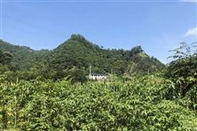 淮南市攻堅秋冬治污硬任務(wù) 筑牢大氣污染防治防線