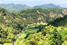 “十五五”首個(gè)中央一號(hào)文件發(fā)布！農(nóng)村環(huán)境治理風(fēng)口已定