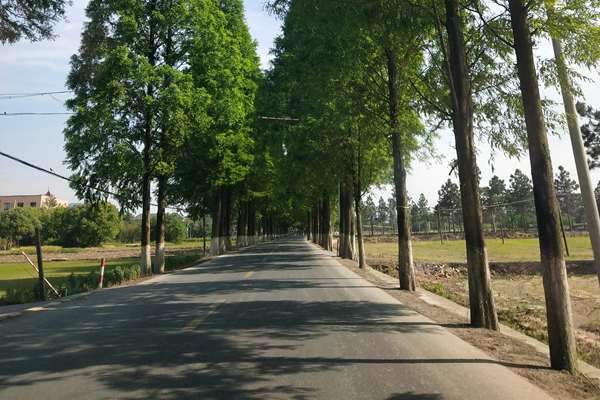 重型貨車是移動(dòng)源治理的“牛鼻子”