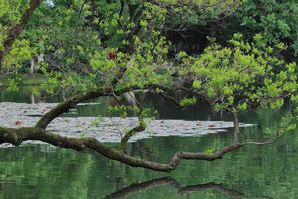 《“十五五”環(huán)境基準(zhǔn)工作方案(征求意見(jiàn)稿)》公開(kāi)征求意見(jiàn)