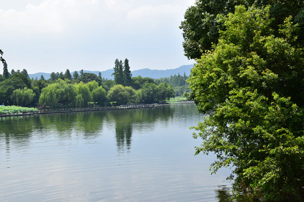 科技成果轉(zhuǎn)化十大案例丨產(chǎn)學研用協(xié)同創(chuàng)新，河湖污泥處理技術(shù)規(guī)?；瘡?fù)制推廣