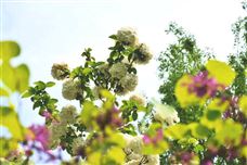 專家解讀：堅持“三化”發(fā)展 ，提升節(jié)能裝備能效水平！