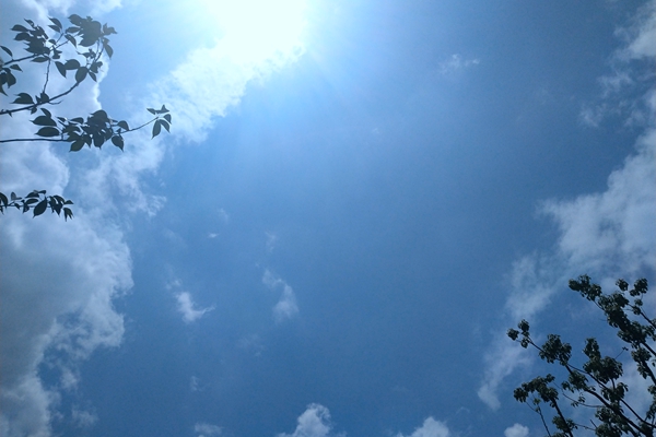 3.07亿!乐亭钢铁1#、2#烧结机烟气蓄热氧化节能降碳项目EPC将招标