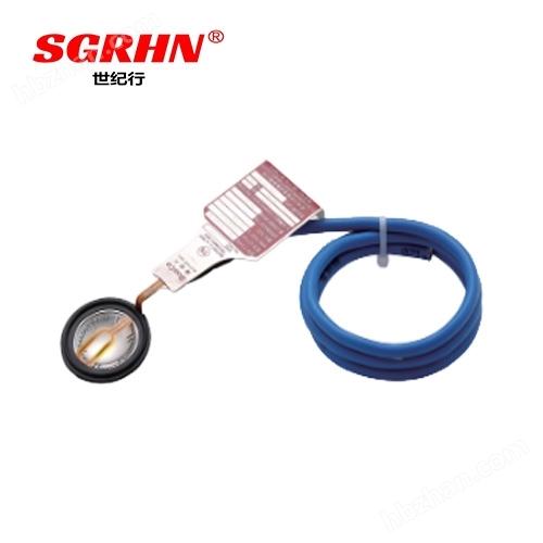 CO?高壓管道泄爆口|衛(wèi)生級爆破膜片