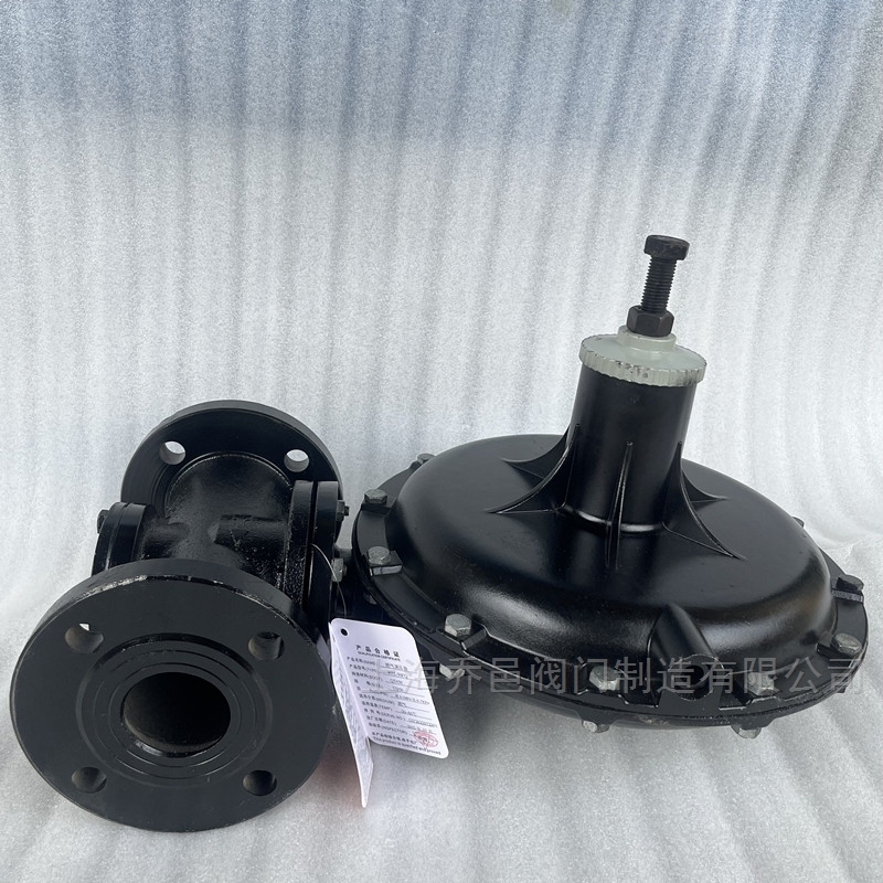 RTZ-FQ天然气减压阀 RTZ-FQ天然气减压阀