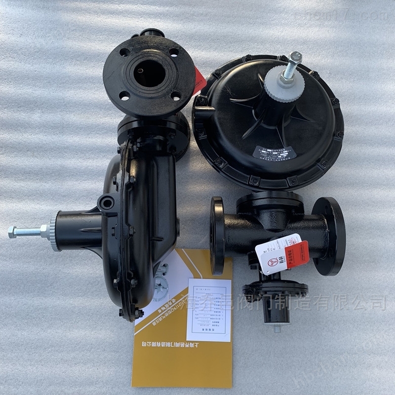 RTZ-FQ天然气调压器 RTZ-FQ天然气调压器