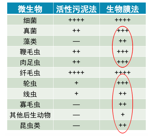 微信圖片_20250807100238.png
