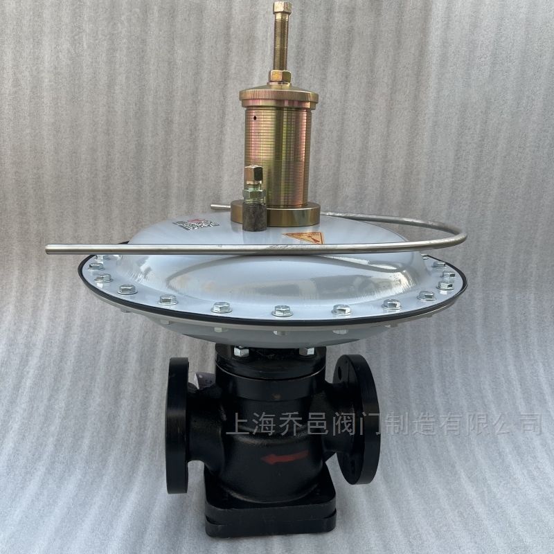 RTZ-AQ燃?xì)庹{(diào)壓器