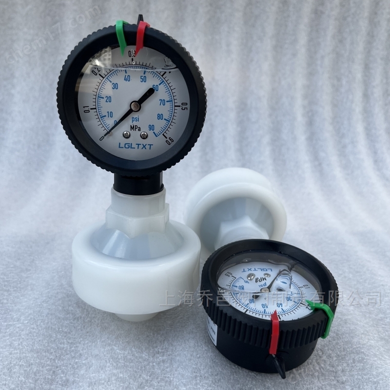 786-V全塑PVDF隔膜压力表 786-P隔膜压力表