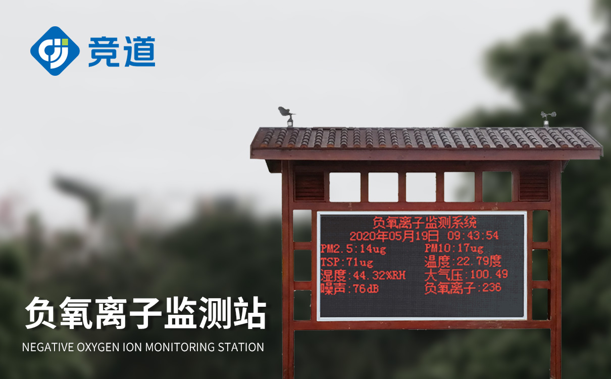 负氧离子监测仪 负氧离子监测仪