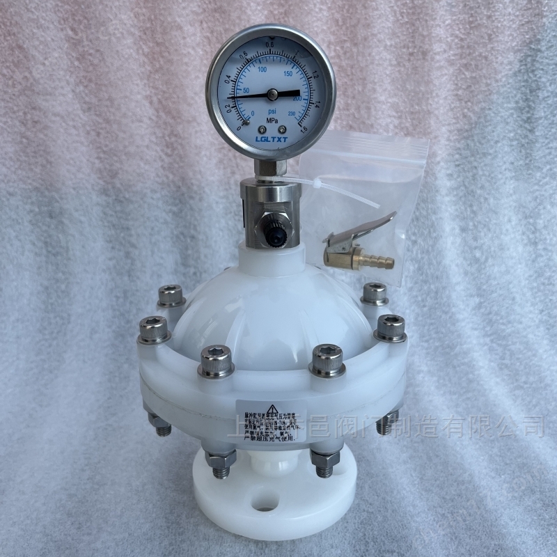 LGMZ-V0.35L膜片式脉冲阻尼器PVDF