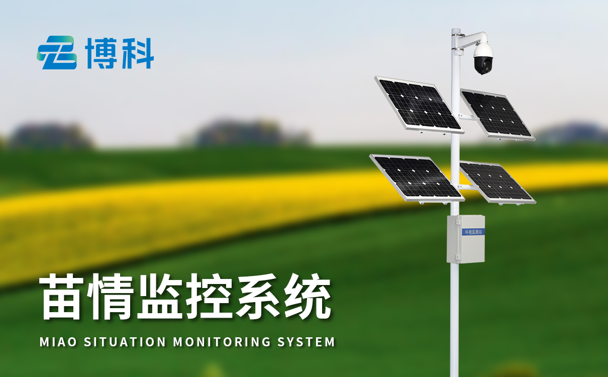 水稻苗情监测站