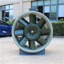 天宏SWF-III-10型玻璃鋼防爆混流風(fēng)機(jī)
