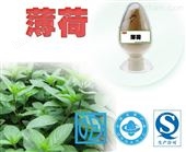 BH圣氏生物專業(yè)生產(chǎn)薄荷提取物 食品添加劑